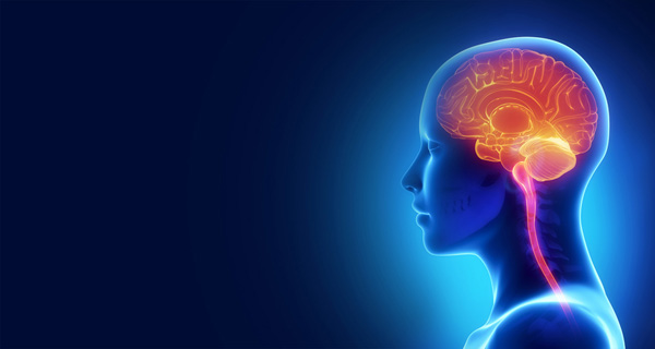 Neuro Surgery