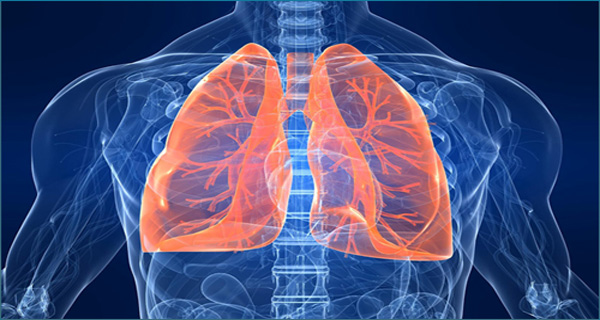Pulmonology