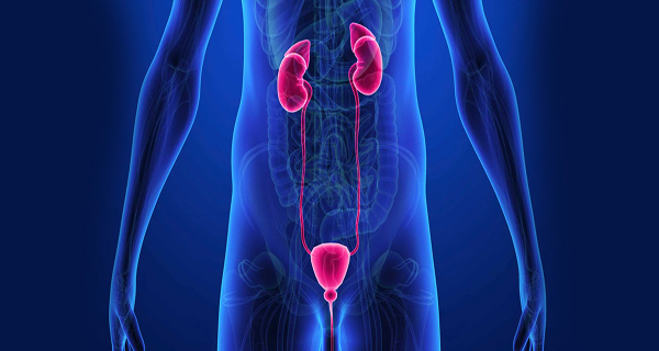 urology